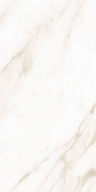Classy Warm White Matte 12 x 24